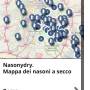 nasonydry.jpg